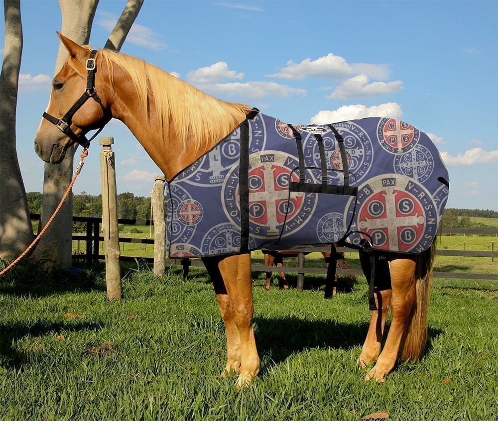 Capa para Cavalo com Barrigueira – Estampada
