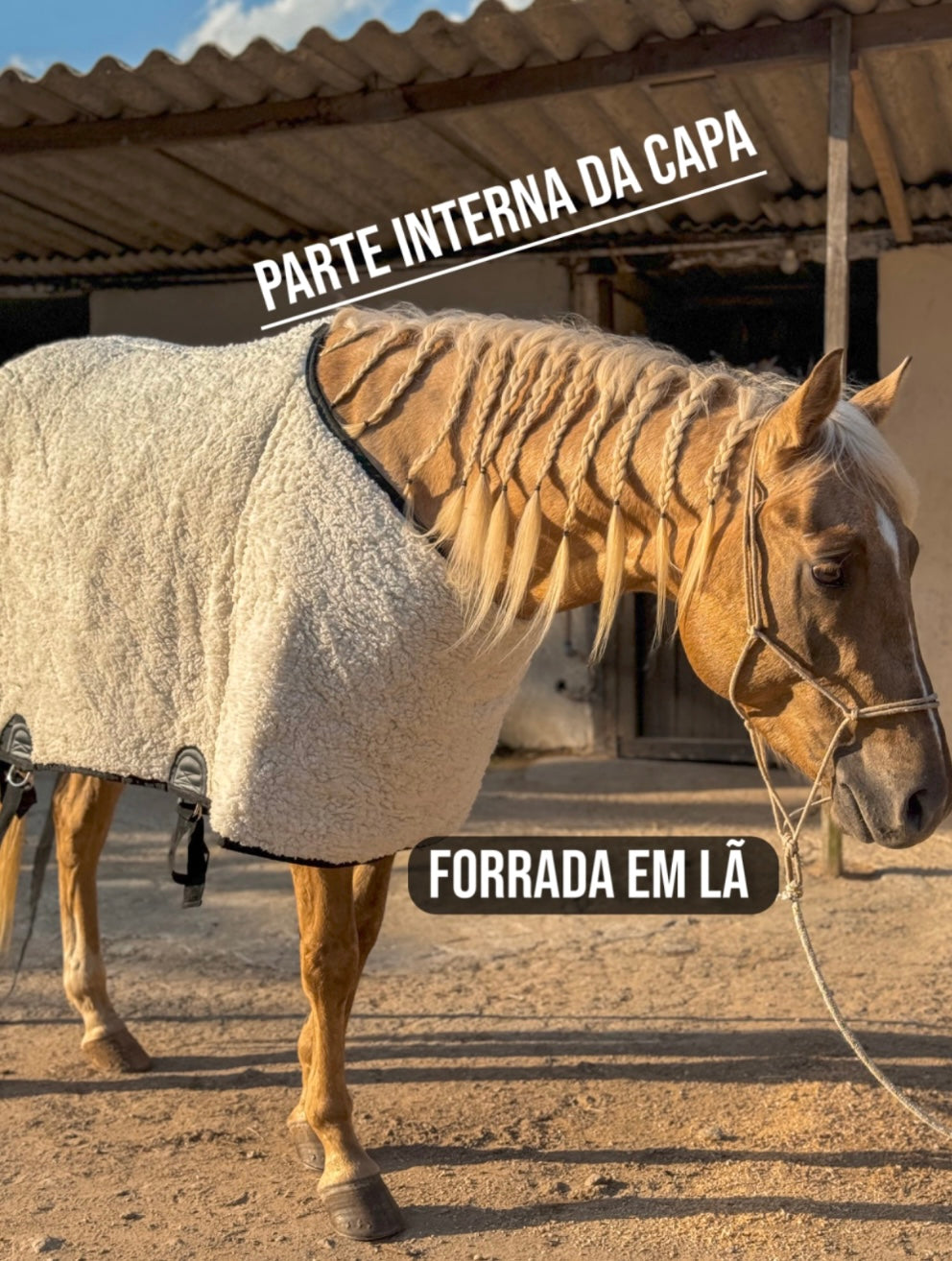 Capas de frio