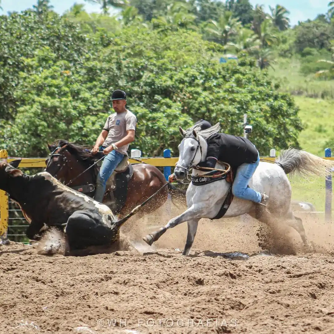 Kit Vaquejada Advanced