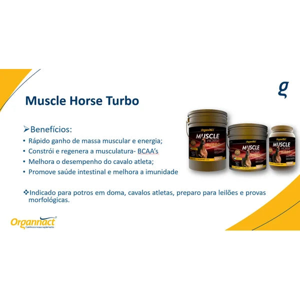 Muscle Horse Turbo