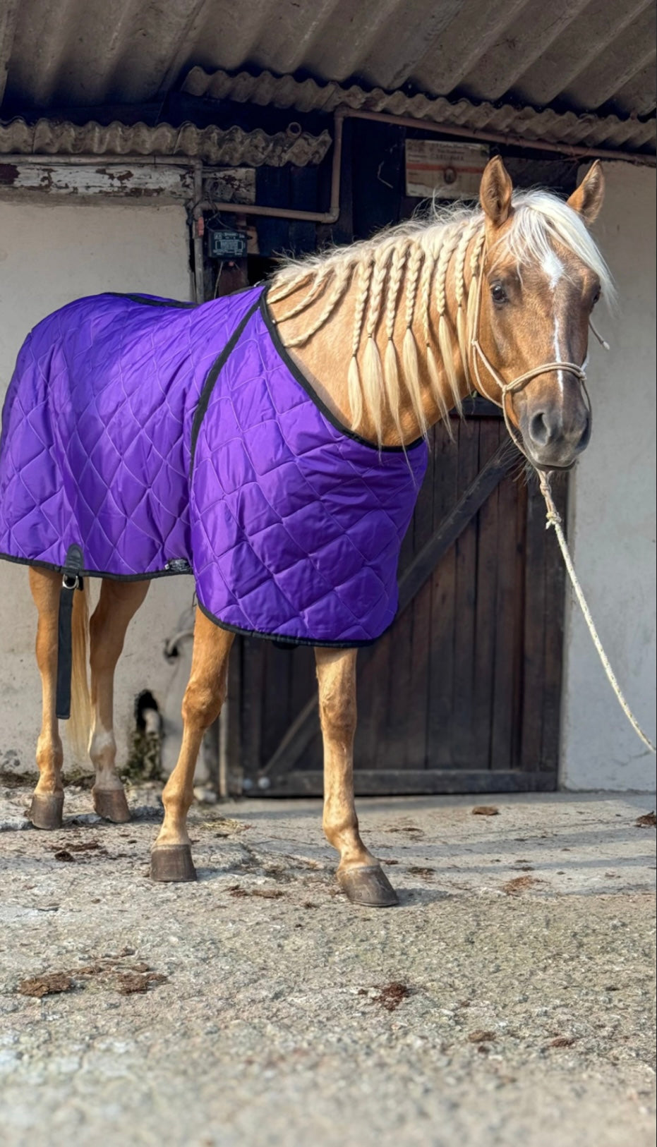 Capas de frio