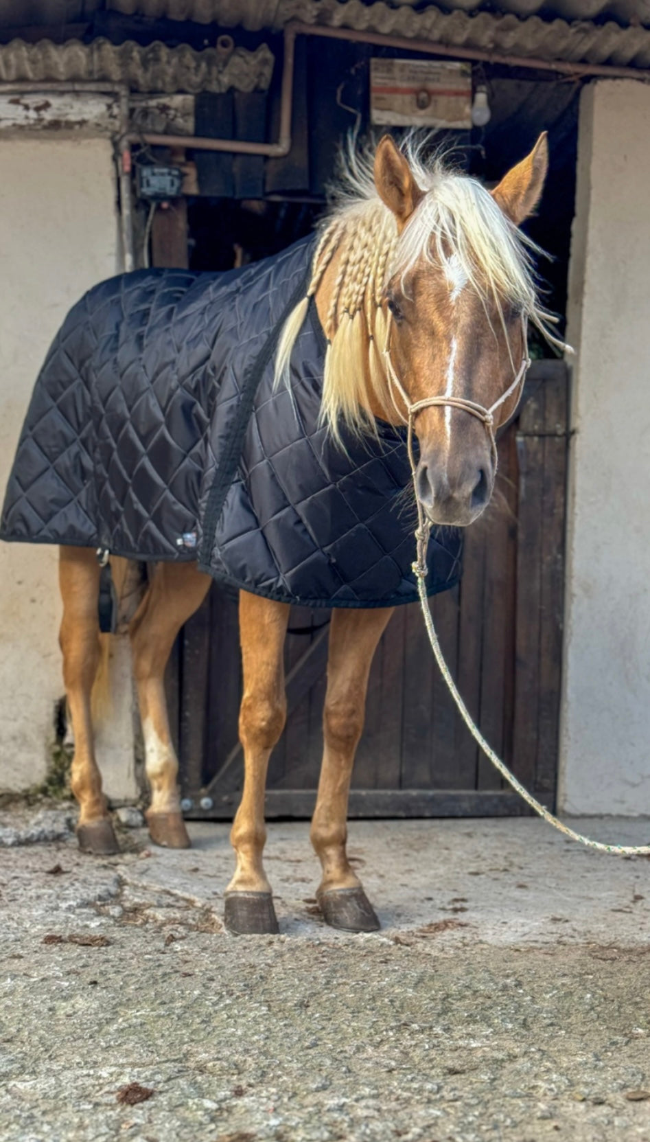 Capas de frio