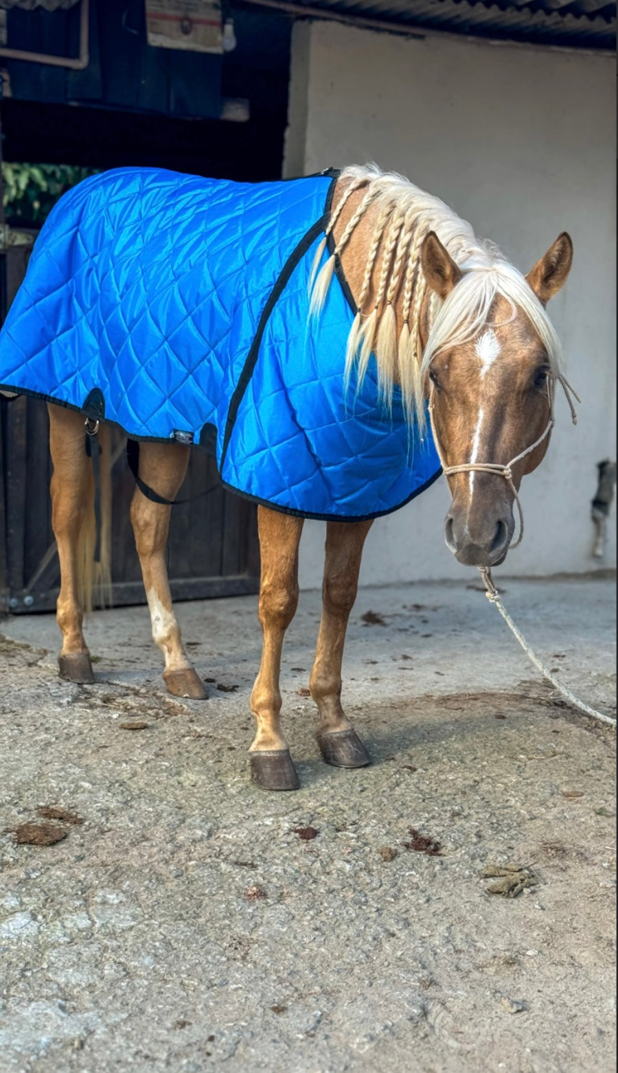 Capas de frio