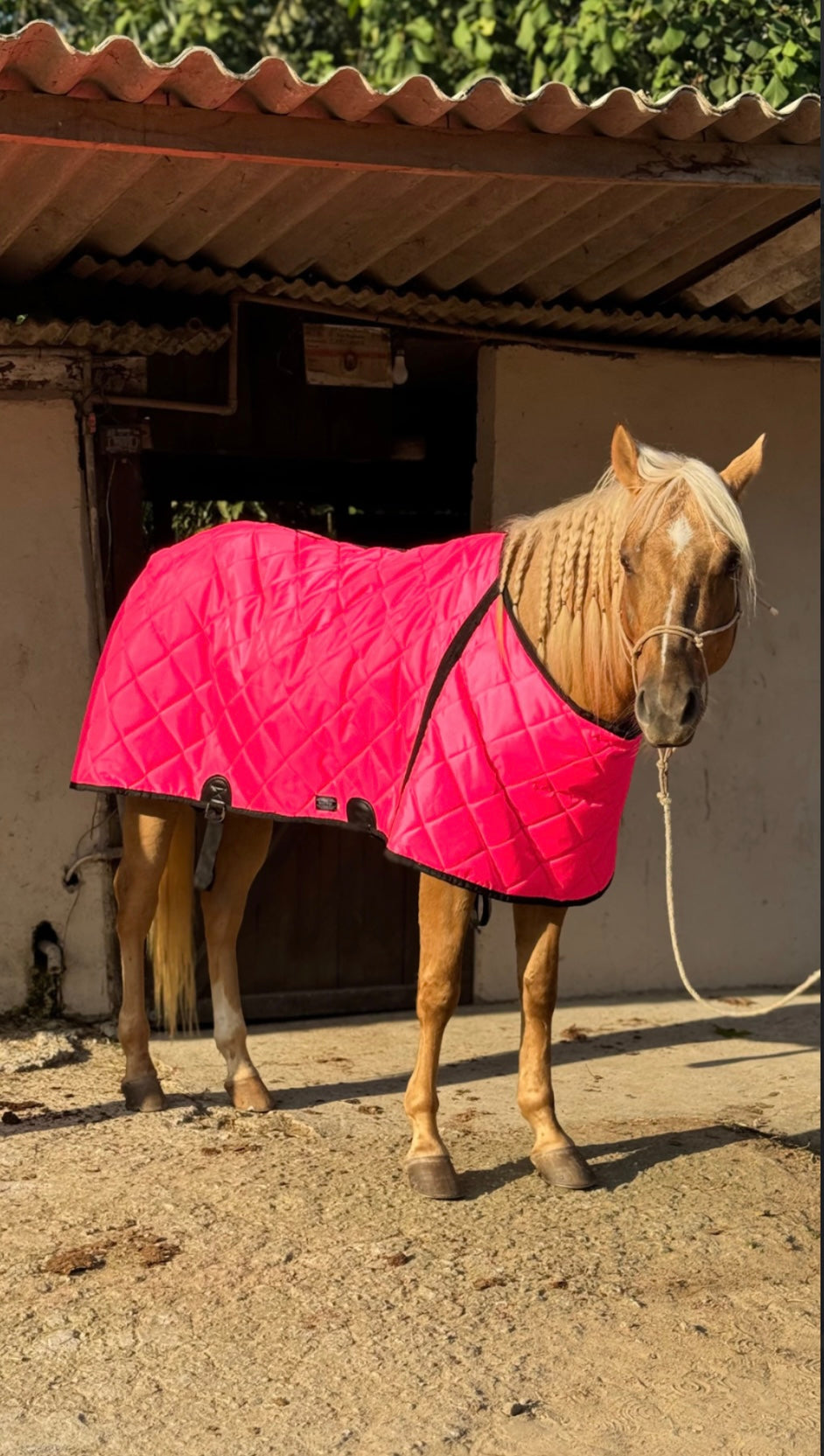 Capas de frio