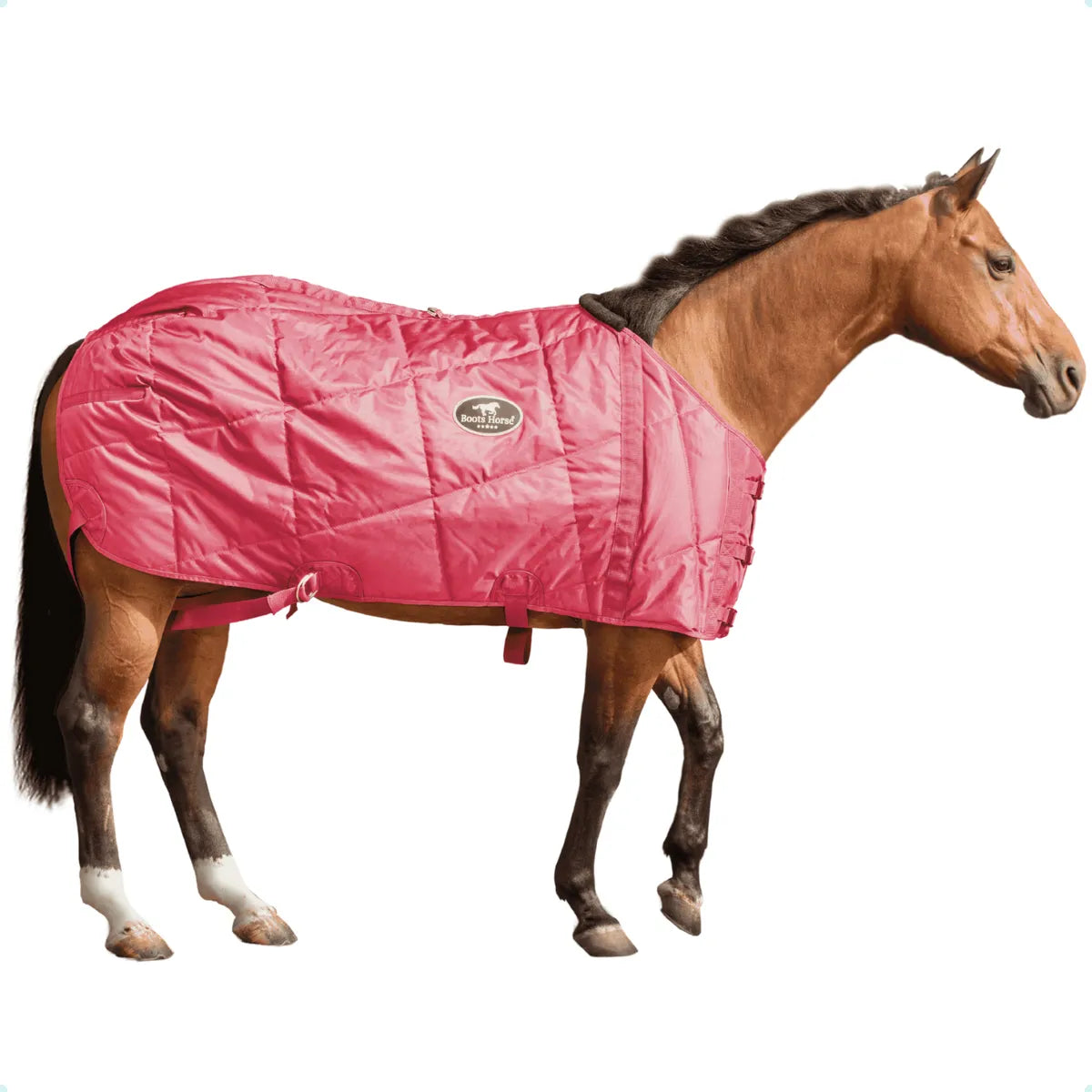 Capa De Frio Para Cavalo Forrada Inverno Boots Horse