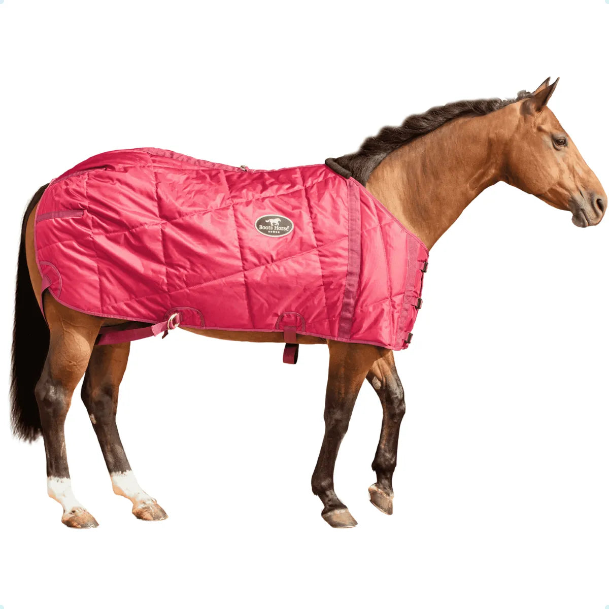 Capa De Frio Para Cavalo Forrada Inverno Boots Horse